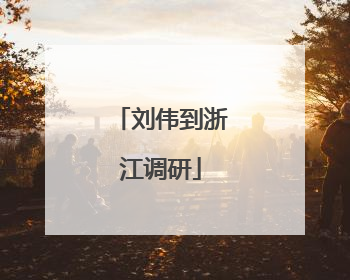 刘伟到浙江调研