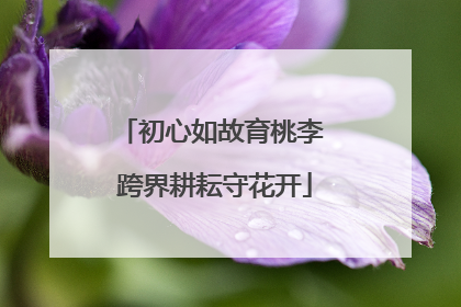 初心如故育桃李 跨界耕耘守花开