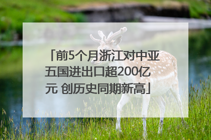 前5个月浙江对中亚五国进出口超200亿元 创历史同期新高
