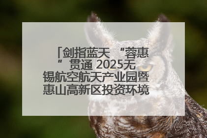 剑指蓝天 “蓉惠”贯通 2025无锡航空航天产业园暨惠山高新区投资环境推介会在成都举行