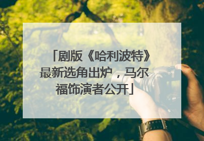 剧版《哈利波特》最新选角出炉，马尔福饰演者公开