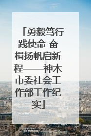 勇毅笃行践使命 奋楫扬帆启新程——神木市委社会工作部工作纪实
