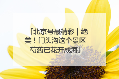 北京号最精彩｜绝美！门头沟这个景区芍药已花开成海