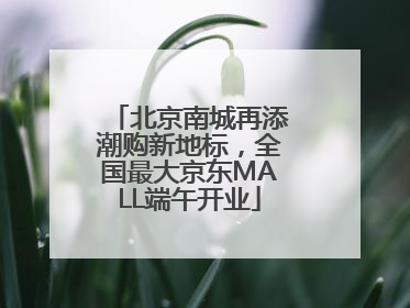 北京南城再添潮购新地标，全国最大京东MALL端午开业