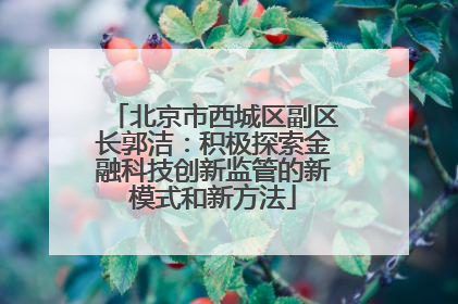 北京市西城区副区长郭洁：积极探索金融科技创新监管的新模式和新方法