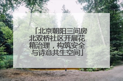 北京朝阳三间房北双桥社区开展花箱治理，构筑安全与诗意共生空间