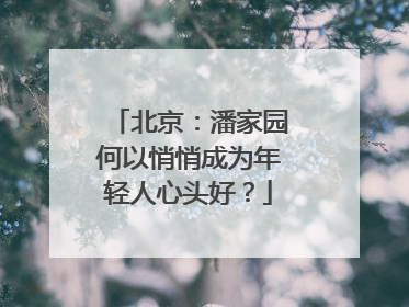 北京：潘家园何以悄悄成为年轻人心头好？