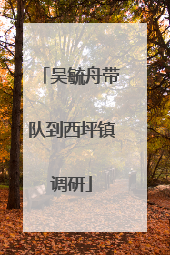 吴毓舟带队到西坪镇调研