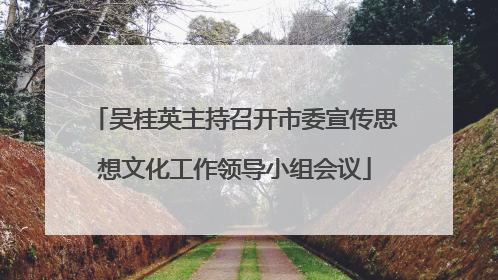 吴桂英主持召开市委宣传思想文化工作领导小组会议