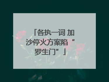 各执一词 加沙停火方案陷“罗生门”