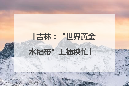 吉林：“世界黄金水稻带”上插秧忙