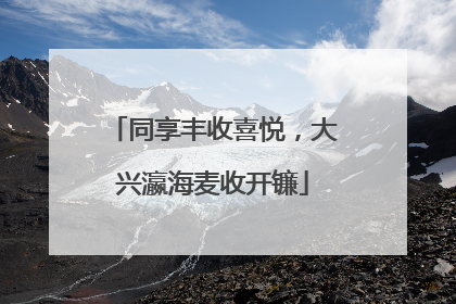 同享丰收喜悦，大兴瀛海麦收开镰
