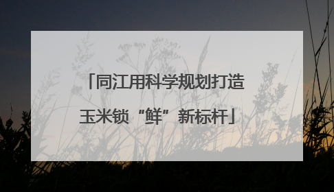 同江用科学规划打造玉米锁“鲜”新标杆
