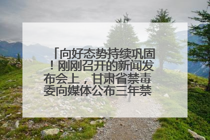 向好态势持续巩固！刚刚召开的新闻发布会上，甘肃省禁毒委向媒体公布三年禁毒工作“成绩单”