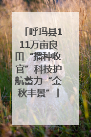 呼玛县111万亩良田“播种收官”科技护航蓄力“金秋丰景”