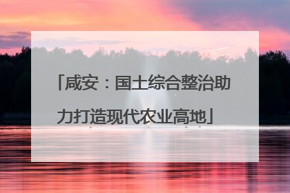 咸安：国土综合整治助力打造现代农业高地