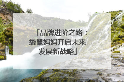 品牌进阶之路：袋鼠妈妈开启未来发展新战略