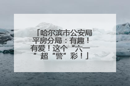 哈尔滨市公安局平房分局：有趣！有爱！这个“六一”超“警”彩！