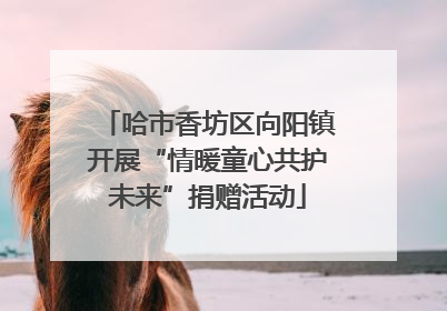 哈市香坊区向阳镇开展“情暖童心共护未来”捐赠活动