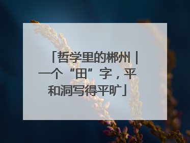 哲学里的郴州｜一个“田”字，平和洞写得平旷