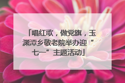 唱红歌，做党旗，玉渊潭乡敬老院举办迎“七一”主题活动