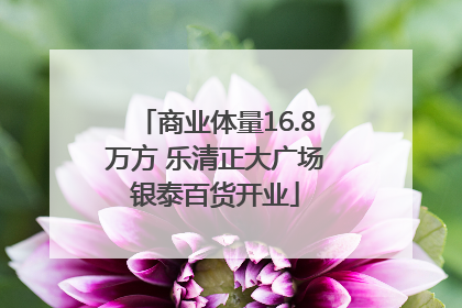 商业体量16.8万方 乐清正大广场银泰百货开业
