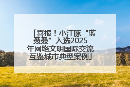 喜报！小江豚“蓝叒叒”入选2025年网络文明国际交流互鉴城市典型案例