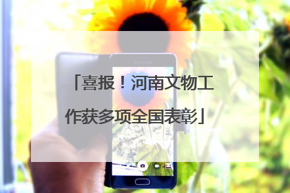 喜报！河南文物工作获多项全国表彰
