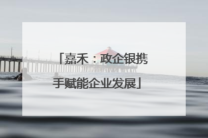 嘉禾：政企银携手赋能企业发展