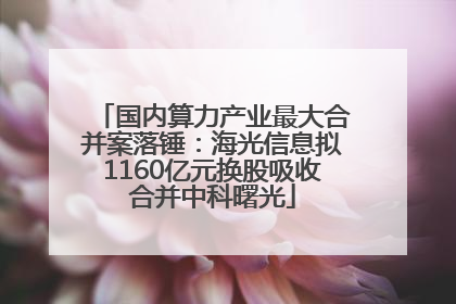 国内算力产业最大合并案落锤：海光信息拟1160亿元换股吸收合并中科曙光