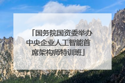 国务院国资委举办中央企业人工智能首席架构师特训班