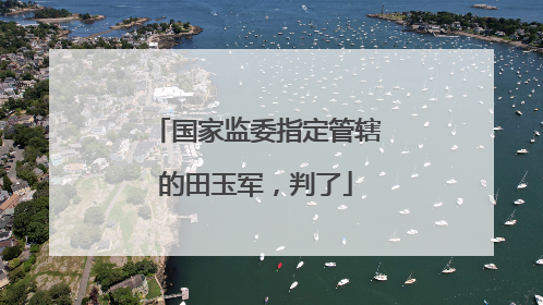国家监委指定管辖的田玉军，判了