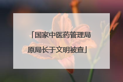 国家中医药管理局原局长于文明被查