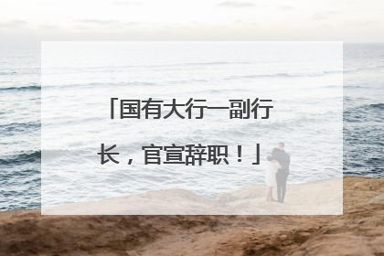 国有大行一副行长，官宣辞职！