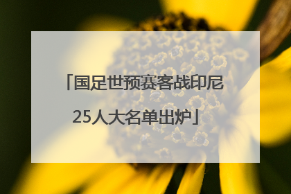 国足世预赛客战印尼25人大名单出炉