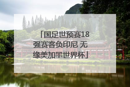 国足世预赛18强赛客负印尼 无缘美加墨世界杯