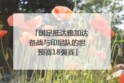 国足抵达雅加达备战与印尼队的世预赛18强赛