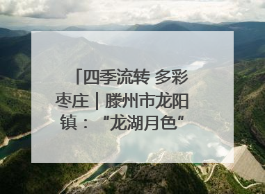 四季流转 多彩枣庄｜滕州市龙阳镇：“龙湖月色”向日葵花海 绘就乡村振兴新画卷