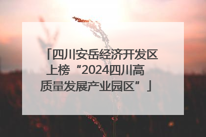 四川安岳经济开发区上榜“2024四川高质量发展产业园区”