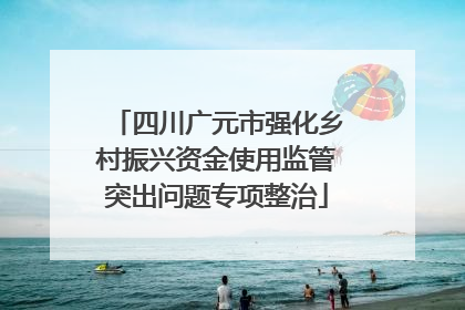 四川广元市强化乡村振兴资金使用监管突出问题专项整治