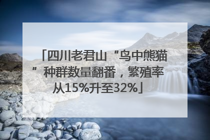 四川老君山“鸟中熊猫”种群数量翻番，繁殖率从15%升至32%