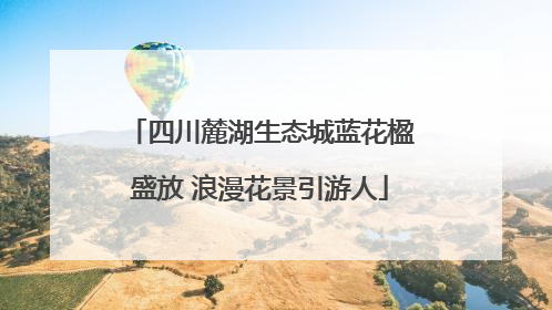 四川麓湖生态城蓝花楹盛放 浪漫花景引游人