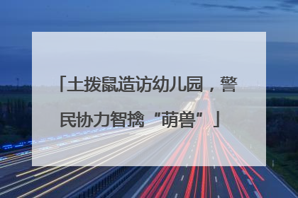 土拨鼠造访幼儿园，警民协力智擒“萌兽”