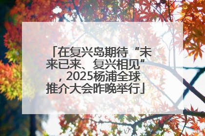 在复兴岛期待“未来已来、复兴相见”，2025杨浦全球推介大会昨晚举行