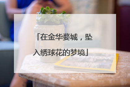 在金华婺城，坠入绣球花的梦境