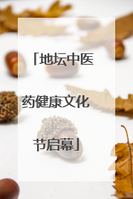 地坛中医药健康文化节启幕