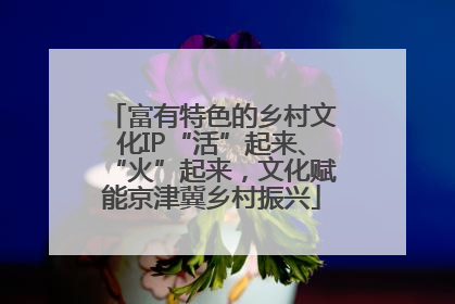 富有特色的乡村文化IP“活”起来、“火”起来，文化赋能京津冀乡村振兴