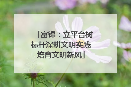 富锦：立平台树标杆深耕文明实践培育文明新风