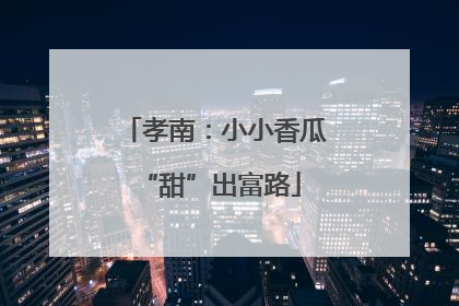 孝南：小小香瓜 “甜”出富路