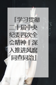 学习贯彻二十届中央纪委四次全会精神丨深入推进风腐同查同治